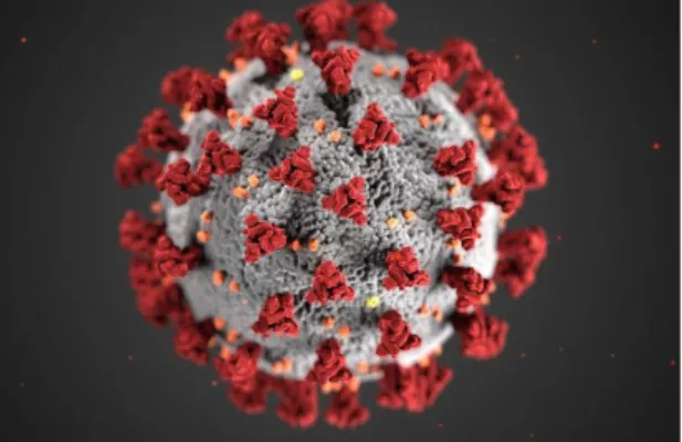 Gambar  1.  Virus  Corona  (sumber  kompas.com) 