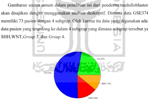 Gambar 5. 1 Pie Chart Subgrup Medulloblastoma 