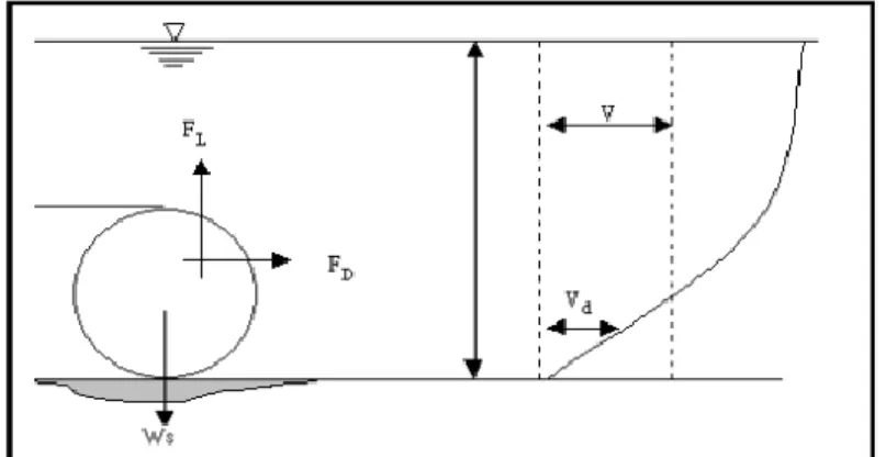Gambar 7-2. Diagram gaya yang bekerja pada partikel sedimen. 