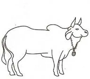 Gambar 3.Penandaan dengan menggunakan kalung pada ternak. 