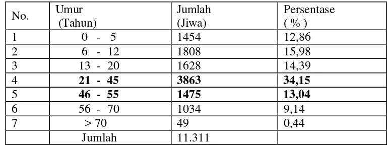 Tabel 1. Jumlah penduduk Desa Sindang Jaya  menurut umur tahun 2004 
