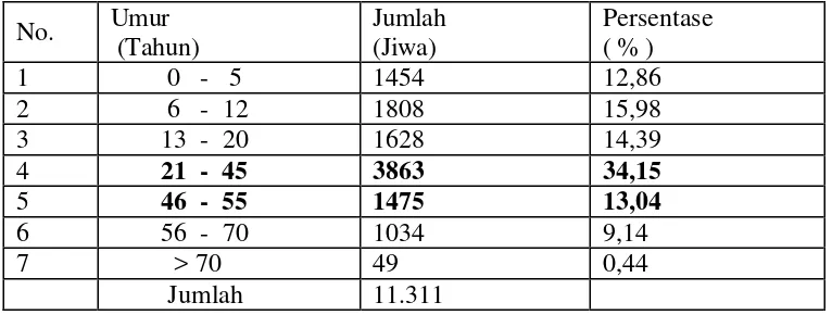 Tabel 1. Jumlah penduduk Desa Sindang Jaya  menurut umur tahun 2004 