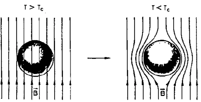 Gambar 1. Eksklusi fluks magnetik saat T<Tc (Kittel, 1996). 