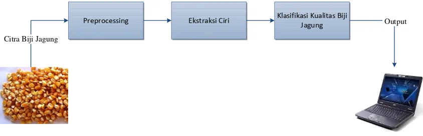 Gambar 3.1 Model Sistem Klasifikasi Kualitas Biji Jagung 