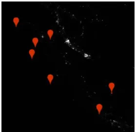 Gambar 3.4 Tampilan VIIRS dalam Google Earth Engine 