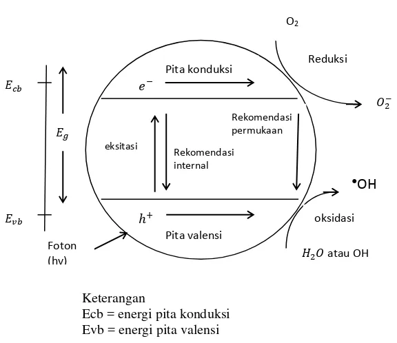 Gambar 2.5. Skema proses fotokatalis (Mills and Hunte, 1997). 