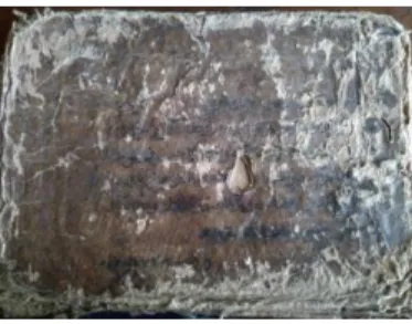 Gambar 1. Sampul Bertuliskan Arab Pegon                                                               