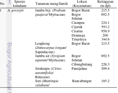 Tabel 1 Hasil pengambilan sampel kutudaun pada tanaman buah di Bogor 