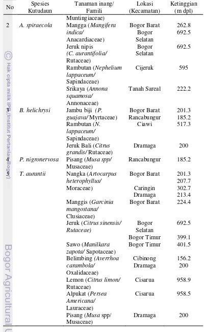 Tabel 1 Lanjutan Hasil pengambilan sampel kutudaun pada tanaman buah di Bogor 