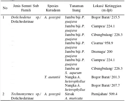Tabel  2  Jenis semut yang ditemukan dalam koloni kutudaun pada tanaman buah 