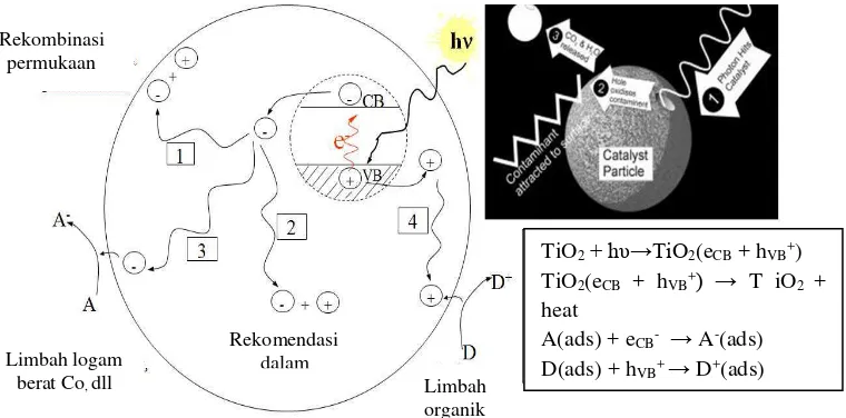 Gambar 2.3. Mekanisme fotokatalis (Banarjee et al., 2006). 