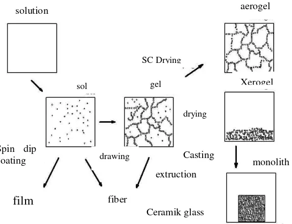 Gambar 2.5. Perubahan struktur setelah  proses sol-gel (Hench and West,1990). 