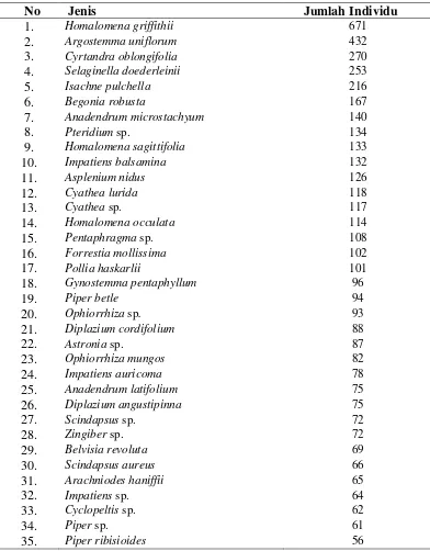 Tabel 4.3.1 Komposisi Jenis Tumbuhan Bawah dan Jumlah Individu pada setiap                    Jenis                           