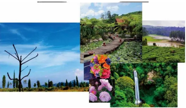 Gambar 2. Moodboard 