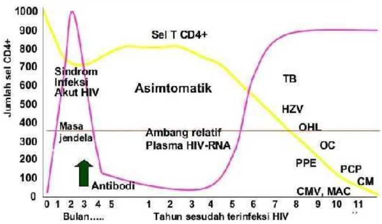 Gambar 2.2Perjalanan Infeksi HIV