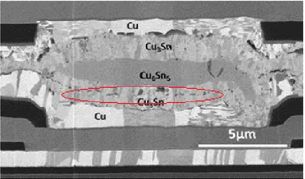 Figure 4: A micrograph of a Cu-Sn SLID bond. Kirkendall voids are visible inside Cu 3 Sn and between the Cu 3 Sn and Cu