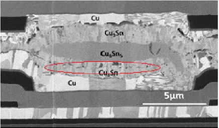 Figure 4: A micrograph of a Cu-Sn SLID bond. Kirkendall voids are visible inside Cu 3 Sn and between the Cu 3 Sn and Cu