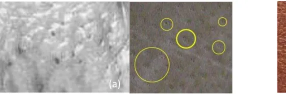 Figure 1. (a) Visual appearance of pig skin surface[4], (b) cowhide surface  