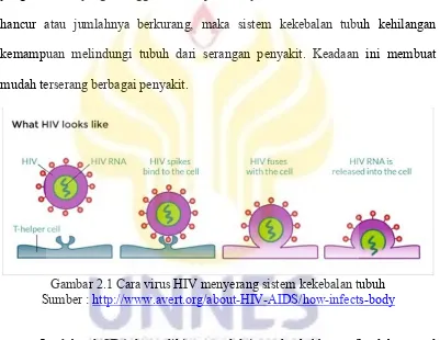 Gambar 2.1 Cara virus HIV menyerang sistem kekebalan tubuh 