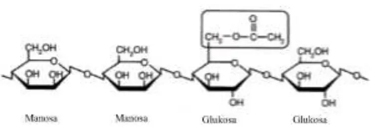 Gambar 2.1 Struktur kimia glukomanan (Johnson, 2002). 