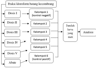 Gambar 2. Kerangka Konsep