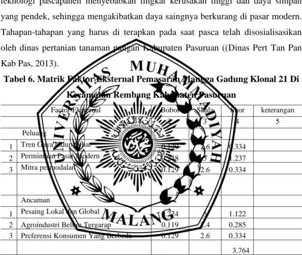 Tabel 6. Matrik Faktor Eksternal Pemasaran Mangga Gadung Klonal 21 Di  Kecamatan Rembang Kabupaten Pasuruan 