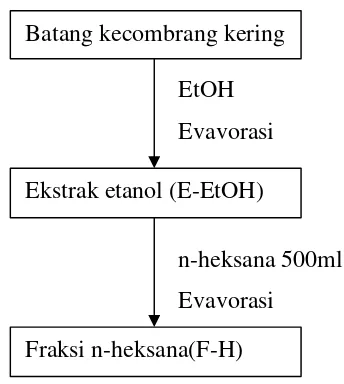 Gambar 9. Diagram Alir Prosedur fraksinasi n-heksana ekstrak batangkecombrang