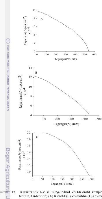 Gambar 17   Karakteristik I-V sel surya hibrid ZnO/Klorofil kompleks (Zn-  feofitin, Cu-feofitin) (A) Klorofil (B) Zn-feofitin (C) Cu-feofitin 