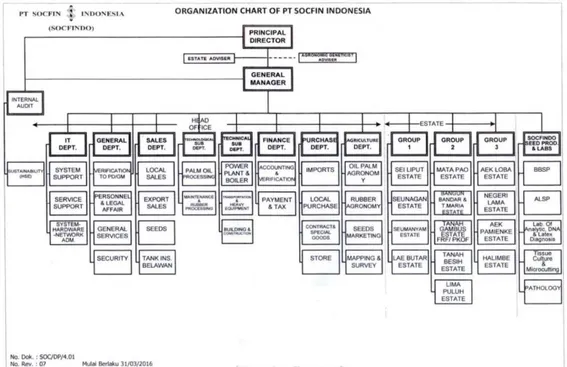 Gambar 2. 2 Struktur Organisasi PT. Socfin Indonesia  2.6  Job Description PT. Socfin Indonesia 