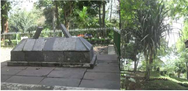 Gambar 2. Makam Keramat dan pohon cangkuang (Pandanus furcatus)  Figure 2. Sacred Grave and cangkuang tree (Pandanus furcatus) 