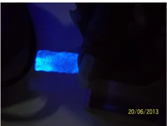 Gambar 9. Kertas terlapis tinta luminisens semua sampel pada pemaparan UV 254 (kiri) danSrTiO3/Y:Pr0,2 365 nm (kanan)