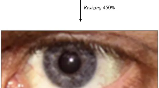 Gambar 2.4 Bicubic Interpolation Resizing 450%  