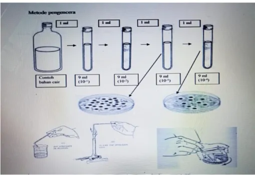 Gambar 12.1 Cara menyebarkan sample 