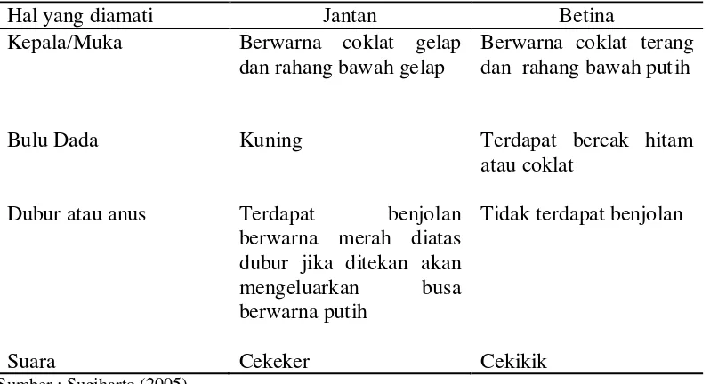 Tabel 1. Perbedaan Burung Puyuh Jantan dan Betina.  