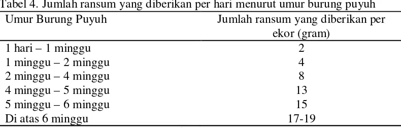 Tabel 4. Jumlah ransum yang diberikan per hari menurut umur burung puyuh 