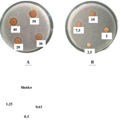 Gambar hasil uji aktivitas antibakteri ekstrak etanol kulit buah 
