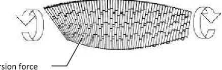 Figure 6. Effect of Shear Force to Empyak (left) and Resistant Mechanism to Shear Force (right) (Source: author)  