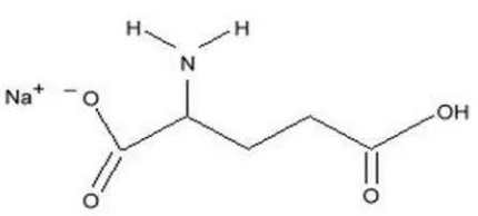 Gambar 6. Rumus Bangun Monosodium Glutamat (Lӧ liger, 2000)