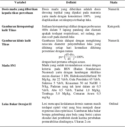 Gambaran histopatologi