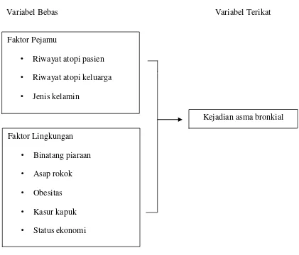 Gambar 2. Kerangka Konsep.