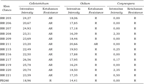 Table 5.  Attack intensity of leaf fall diseases of  IRR 200 series clones at two trial locations