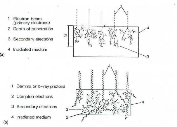 Gambar 8.  Interaksi radiasi dengan materi a) Radiasi elektron;               b) Radiasi sinar gamma atau X (Diehl 1995)