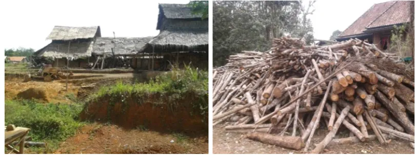 Gambar 2. Figure Bahan baku dan produk kayu gergajian yang dihasilkan oleh salah satu pabrik pengolahan kayu karet di Sumatera Selatan2