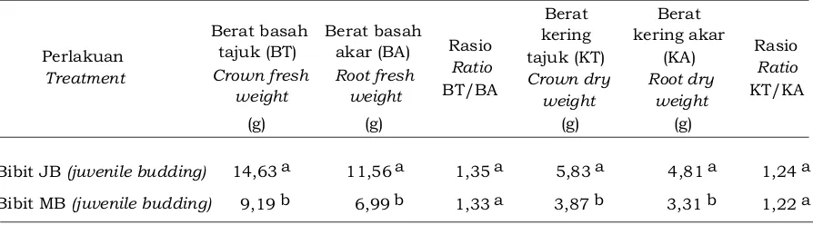 Tabel 3. Rasio bobot basah dan bobot kering antara tajuk dan akar pada bibit JB dan MB.Table 3