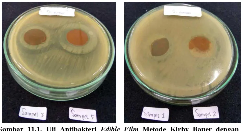 Gambar 11.2. Uji Antibakteri Edible Film Bakteri Metode Kirby Bauer dengan Eschericia coli 