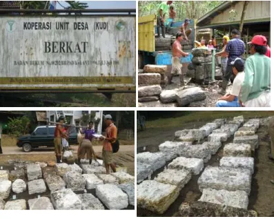 Gambar 3. Pemasaran bersama melalui lelang di KUD Kabupaten Muara Enim (atas) dan lelang di kelompok tani di Kabupaten Banyuasin (bawah)Figure  3