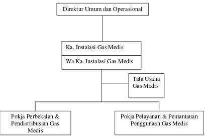 Gambar 3.3 Struktur Organisasi Instalasi Gas Medis RSUP H. Adam Malik 