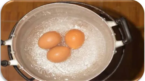 Gambar 1. Proses rebusan telur ayam 