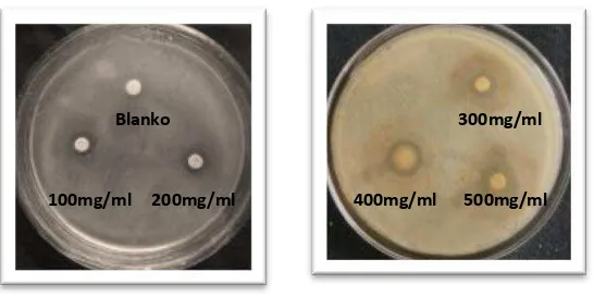 Gambar 4.7. Zona hambat bakteri Sthapylococus aureus dari ekstrak n-heksan 