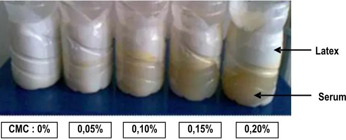 Gambar 2.   Pemisahan lateks dan serum setelah proses sentrifugasi selama 60 menit pada berbagai dosis CMC    Figure 2